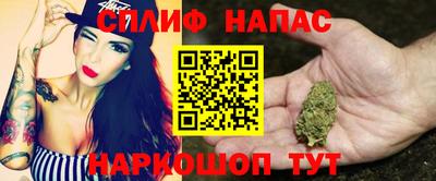 индика Кунгур