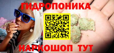 индика Кунгур